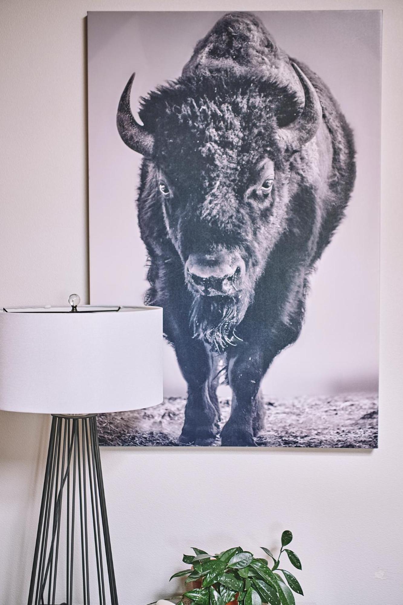 The Loft On Main In Sheridan, Wy Екстер'єр фото